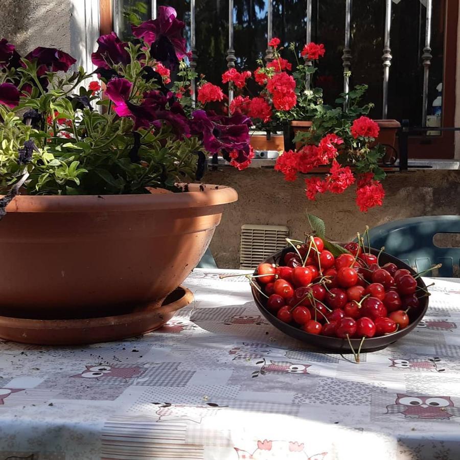 פרמו B&B Mamma Ari מראה חיצוני תמונה